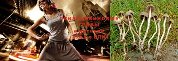метадон Рославль