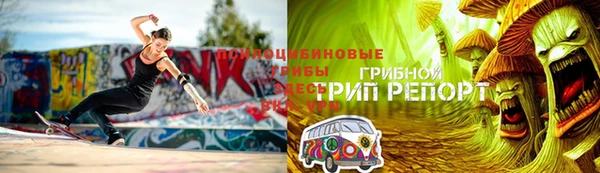 шишки Ростов