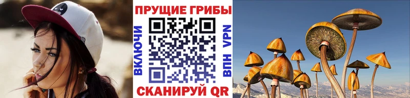 наркотики  ОМГ ОМГ вход  Галлюциногенные грибы Cubensis  Бабушкин 